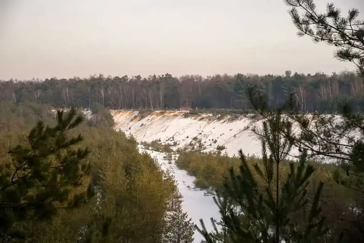 Elsdorf